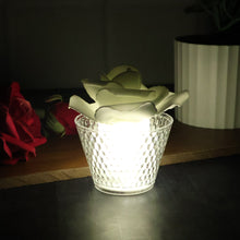 Rose Shaped Decorative Flameless LED Candles (12 Pc)